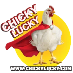 Chicky Lucky สล็อตเว็บตรง ไม่ต้องทำเทิร์น 24 ชม.